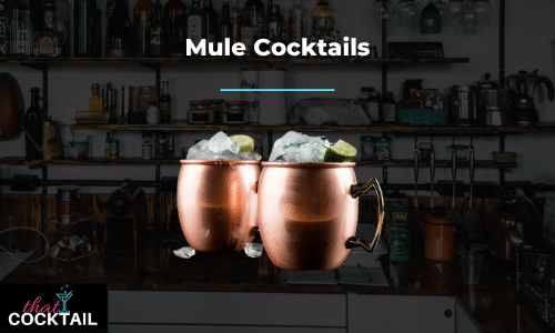 Mule Cocktails - Our complete list of mule cocktails