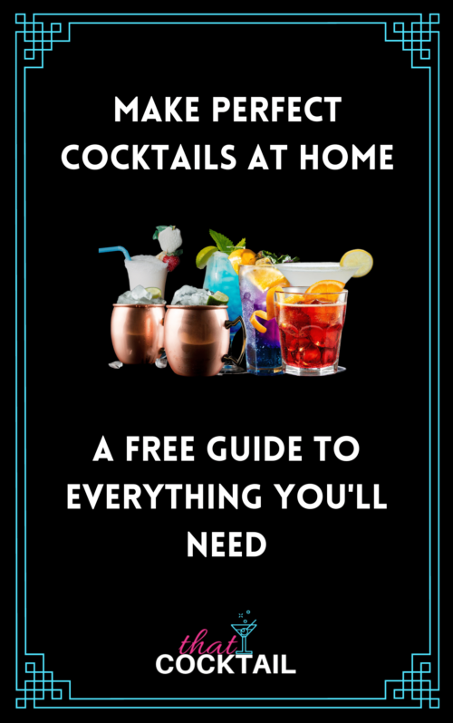 What You Need to Make Perfect Cocktails at Home Guide